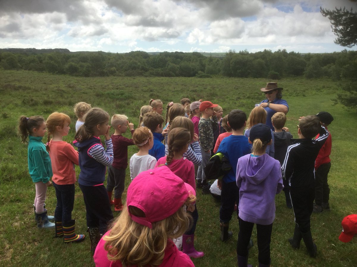 Themill12345's tweet photo. Year 1 and 2 at Tadnole Heath @milborneschool#funlearning @DorsetWildlife https://t.co/I2lb160y8o