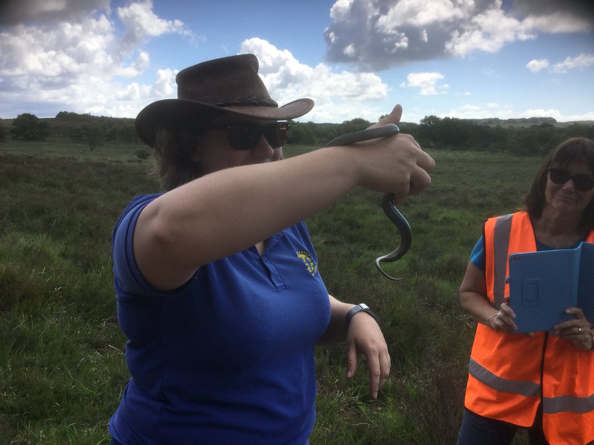 Themill12345's tweet photo. Year 1 and 2 at Tadnole Heath @milborneschool#funlearning @DorsetWildlife https://t.co/I2lb160y8o
