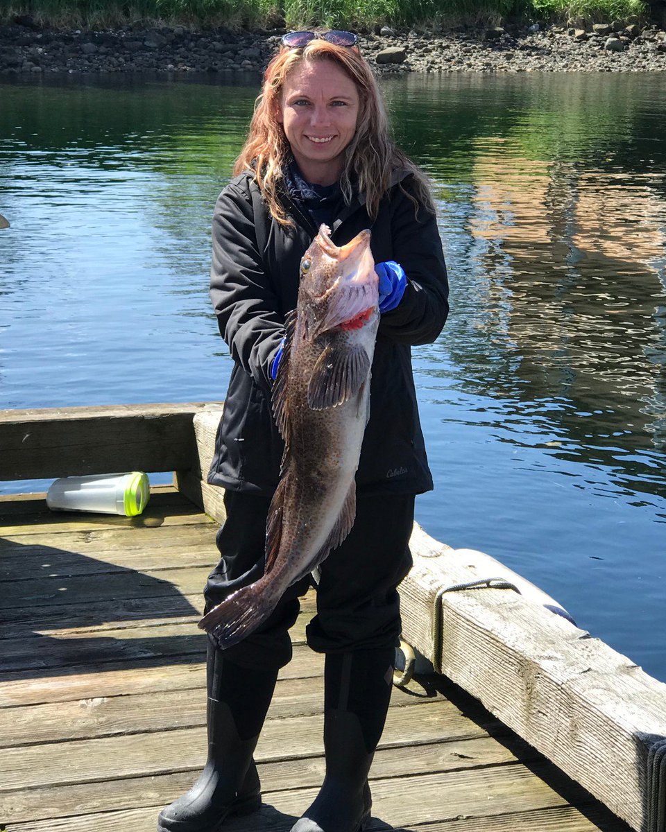 FishAlaskamag's tweet photo. Brad Blinco &amp; Stacie Saffell of Ohio saved up for two years for a true cast-and-blast trip, Alaska style. After hunting on Prince of Wales Island, they limited out while fishing out of Craig, AK. Brad says they’re already saving up for a return trip. #FishAlaska #fishing #Alaska https://t.co/tHtJqUEpd2