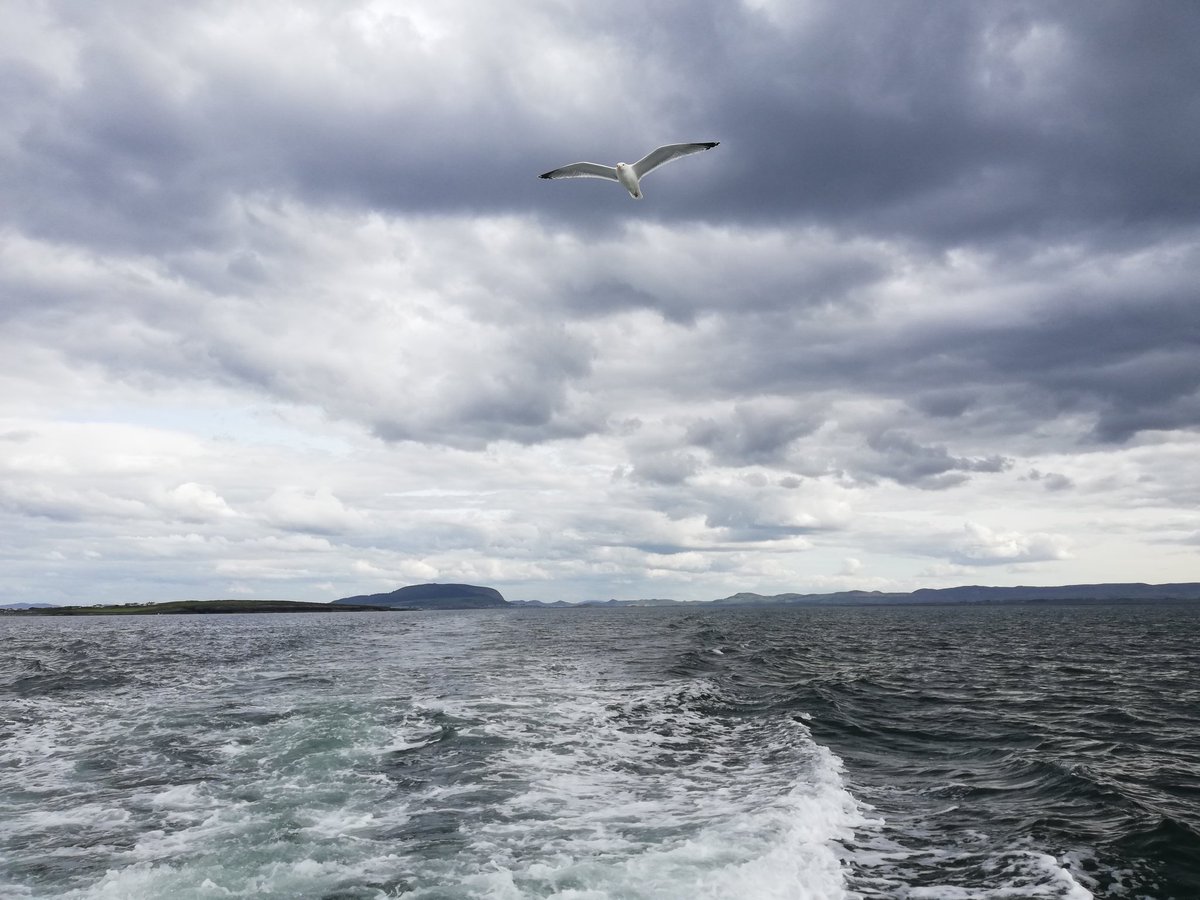 EcologicalKrc's tweet photo. N Sligo Bay, destination #inishmurray #seabirds #ornithology @MarPAMM_project @BirdWatchIE https://t.co/V4656SNZhE