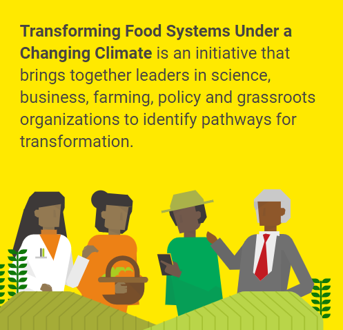 BiovIntCIAT_esp's tweet photo. Just launched! New website of the #TransformFoodSystems initiative, which aims to realize a transformation of #FoodSystems under #ClimateChange by mobilizing knowledge & catalyzing action. Check it out: https://t.co/Pg1nuGUlrC #adaptation #agriculture #AgTransform https://t.co/r594P8Fykc