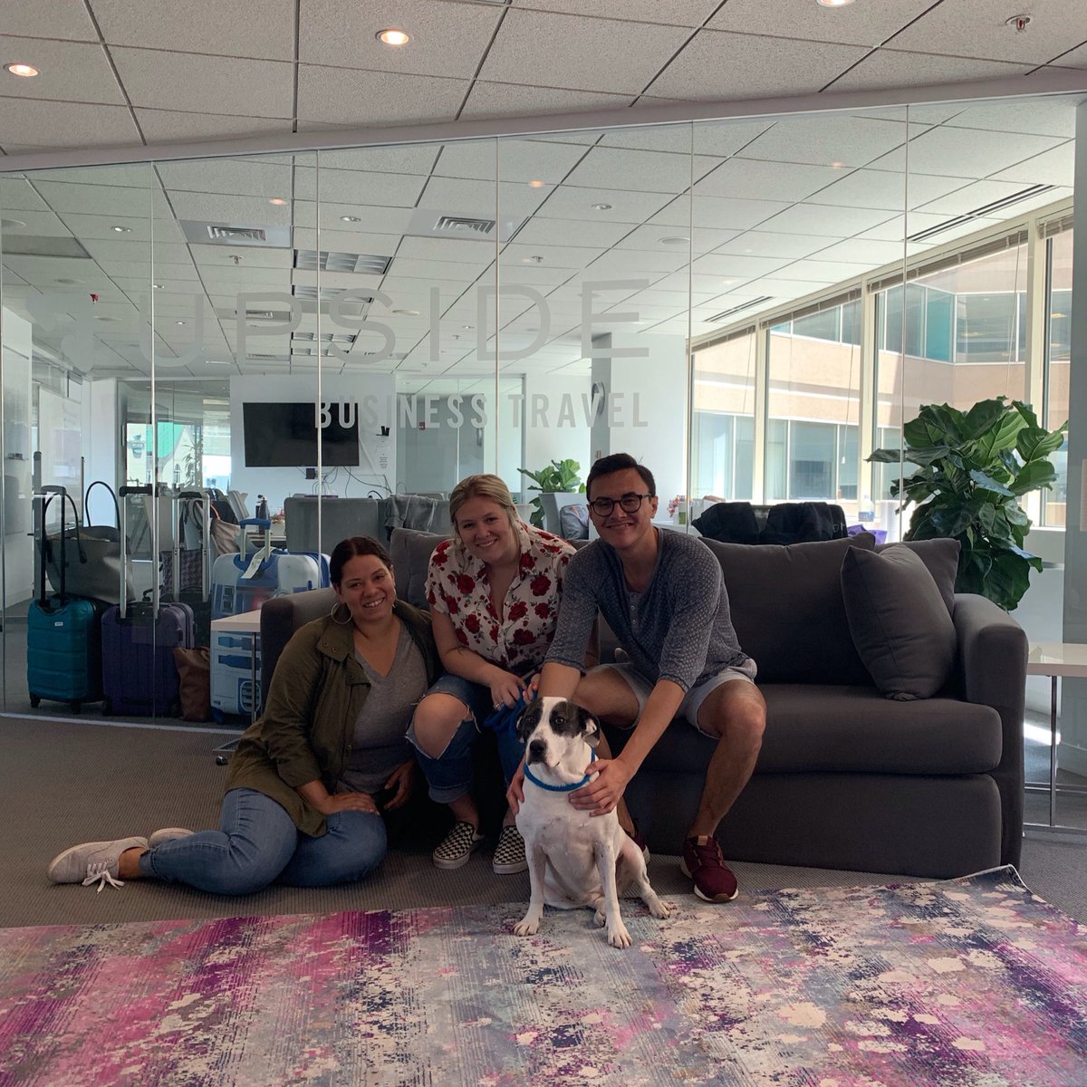 Turns out it’s #BringYourDogToWorkDay—which is pretty much everyday here. 🐕 We 💜 our Pupside program just like we 💜 Potato who’s in the office today!

If this sounds like the #startup vibes you’re looking for, check out our open #tech job postings: upside.com/company/careers.