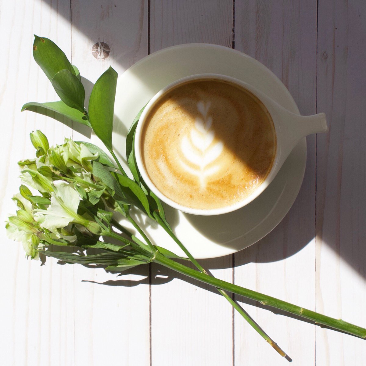 Happy first day of summer! 🌞☕️
