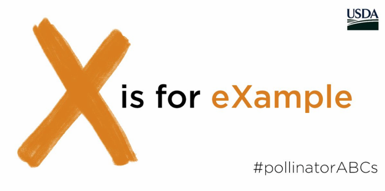 USDA_NRCS's tweet photo. Go the extra mile, set an example of how to care for #pollinators. https://t.co/imG4sWLyuq #pollinatorABCs https://t.co/DChgGzmXru