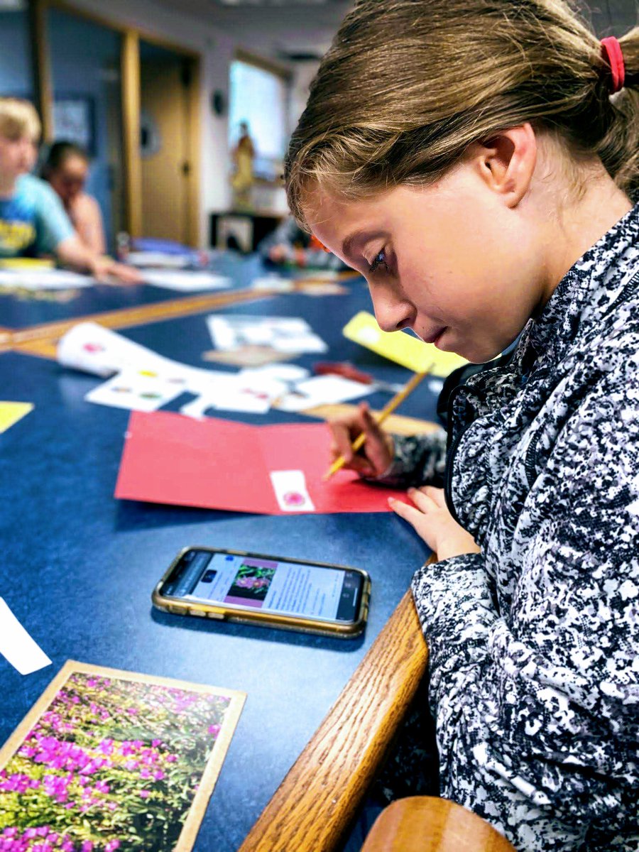 cbsummer678's tweet photo. Look at how engaged these students are, I absolutely love it! Cole is so amazed in the second picture because of a cool plant he is seeing for the first time! #summerexplore is helping our kids find new interests and engage with the world around them! Happy Fun Friday! #cbsummer https://t.co/IpNV2ltgsO