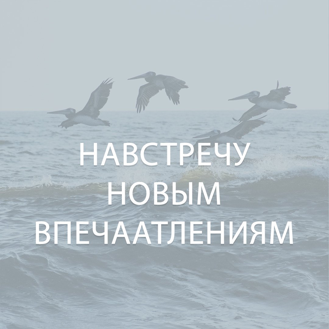 vodohod_com's tweet photo. Где можно интересно провести выходные с семьёй, если любимый ресторан, парк и игровая площадка успели надоесть? И даже в кино все фильмы уже давно просмотрены? Самое время попробовать что-то новенькое, например, путешествие по Волге, которое превзойдёт… https://t.co/mGF1oo1sTB https://t.co/tTuDvTkDqV
