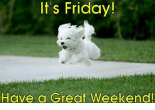 NWmwaypolice's tweet photo. Well D Block have left the building after what appears to be a very Busy day for them
Good Evening from C Block. H, Rach & Bri booking on Duty for the Friday Night shift, #HappyFridayFolks ๐
Hand over completed #BrewInHand
Have a great Friday Night folks
#Nonefortheroad https://t.co/uTfRZ0vypd