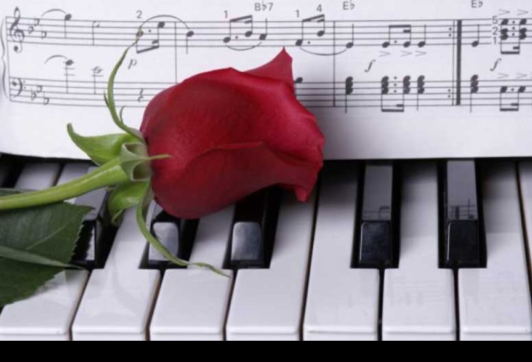 Krisscmoi85's tweet photo. " On s'immerge dans la musique comme dans un rêve mélodieux pour s'évader d'une réalité assourdissante " 🎵🎵💗
Bonne soirée musicale à tous🎤🌠
#citation #FeteDeLaMusique2019
#musicalement #musique #pensée https://t.co/ojIVVlZtgY