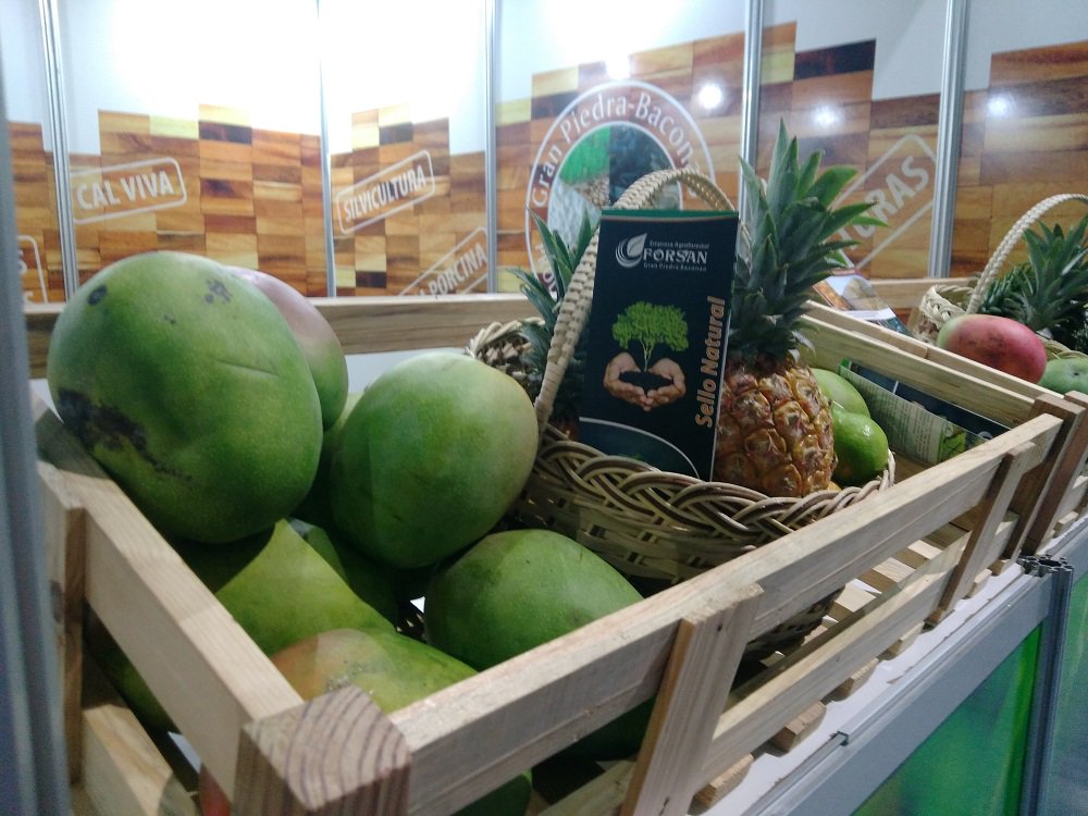 Expresa <a href="/B_Johnson_U/">Beatriz Johnson Urrutia</a> que es un hecho importante la #ExpoCaribe2019 de #SantiagoDeCuba con más de 3170 exponentes, con iniciativas y voluntad exportadora muy necesaria para la economía en #Cuba. @APPP_StgoDeCuba <a href="/PSierraMaestra/">Periódico Sierra Maestra</a> <a href="/tvchagocuba/">Thе Мooṉ̲ᅠᅠᅠᅠᅠᅠᅠᅠᅠᅠᅠᅠᅠᅠᅠᅠᅠᅠᅠᅠᅠᅠᅠᅠᅠᅠᅠᅠᅠ</a>