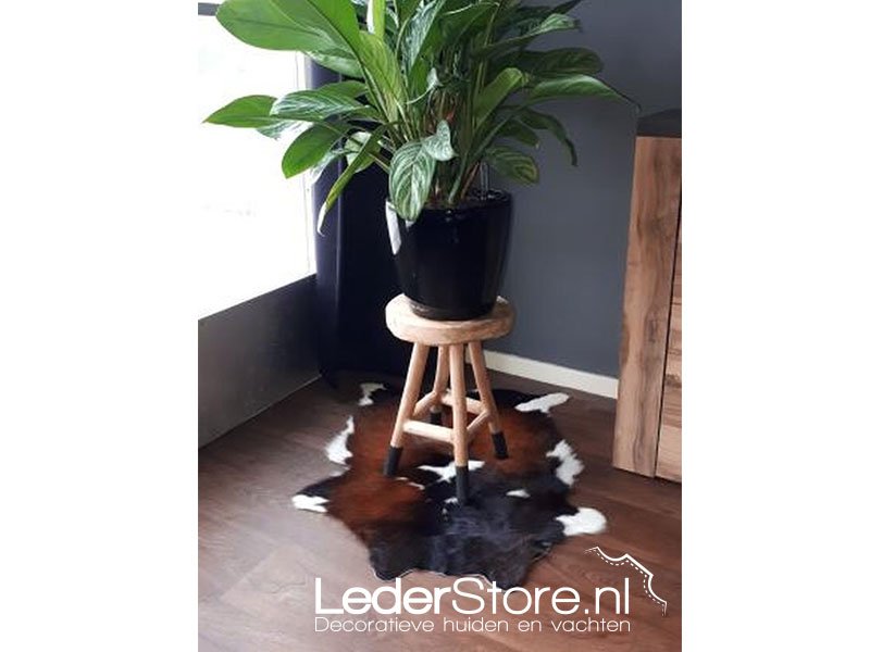 LederstoreNL's tweet photo. Vorige week een mooie sfeerimpressie ontvangen van Yvonne haar koeienhuidkussens😊 Paar daagjes later krijgen we deze impressie binnen😍 
.
#calfhide #calfrug #taxidermie #lederstore #landelijkwonen #western #leder #cowhide #inspiration #luxurydesign #realcowhide #luxuryliving https://t.co/gTnUGW3b7a