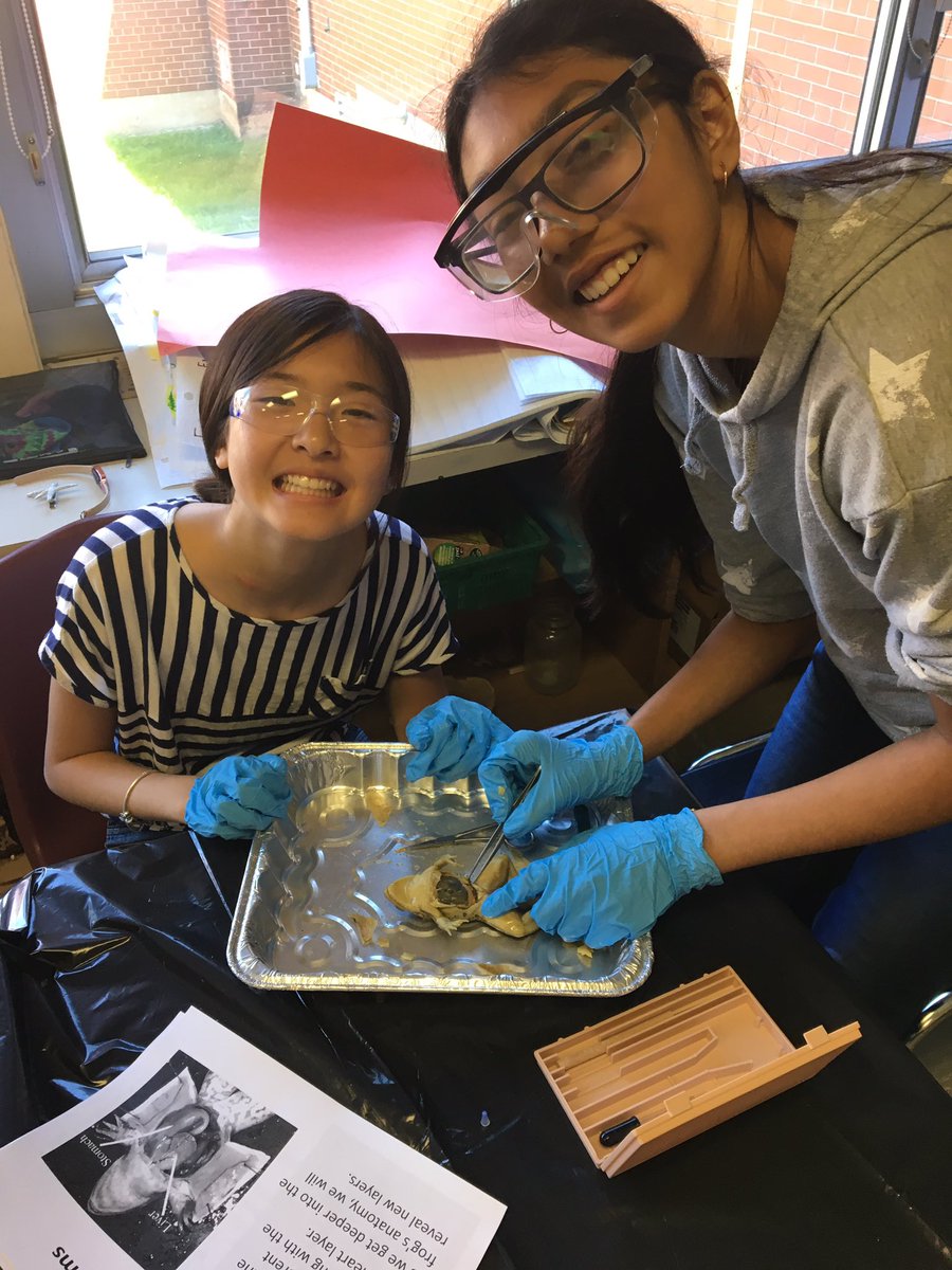 Rm13Doon2's tweet photo. More frogs... https://t.co/ALL4jDBMQC