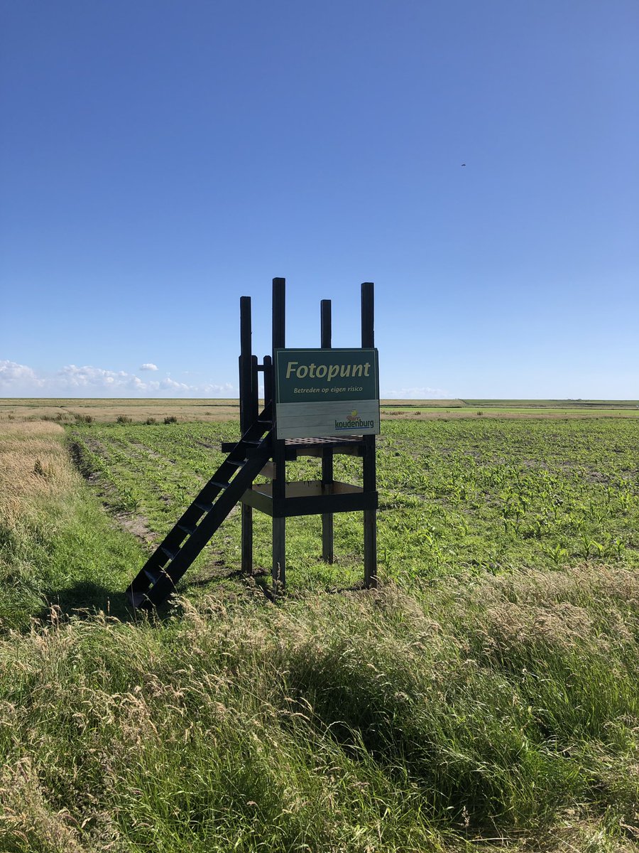 parckoudenburg's tweet photo. Maak een mooie foto vanaf het fotopunt (lombokweg) en plaats deze op Twitter met #Koudenburg &amp; #Ameland . Maak kans op een diner in eet-en drinklokaal De #Griffel ter waarde van € 100,- https://t.co/2eql66v01D