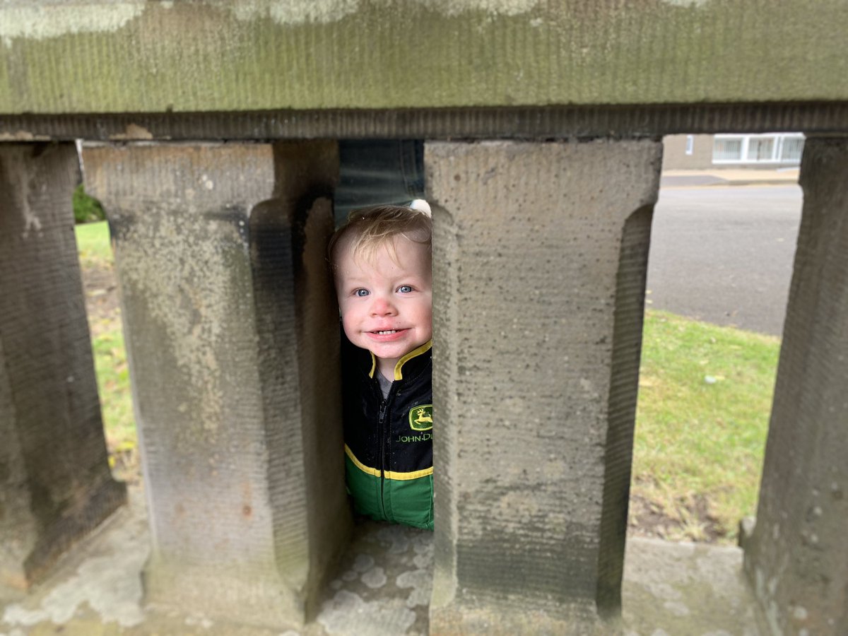JoannaGracey1's tweet image. Best bit of the Highland show for us, seeing our mini farmer enjoying himself #bbclandward #rhs