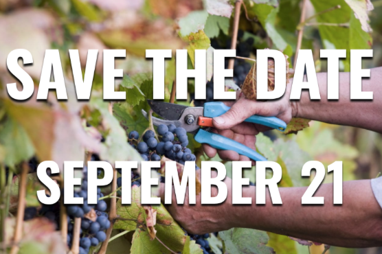 ClubNoQuarter's tweet photo. Join us for a Vine to Wine experience in the vineyard. Details coming soon! #ClubNoQuarter #PrivateLabel #wine #winelover #Sonoma https://t.co/Zb2NVn2U2W