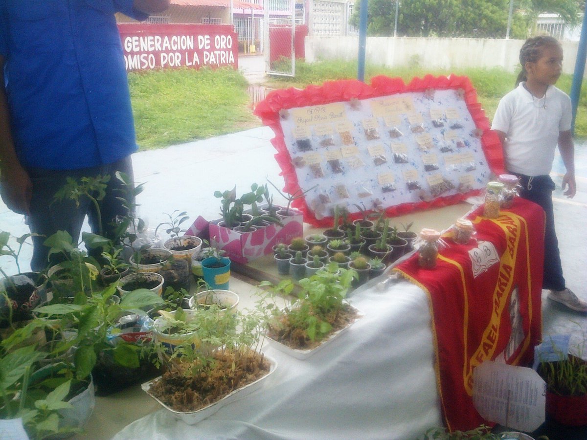 CBITPCamejo's tweet photo. #MuestrasProductivas @MPPEDUCACION @ZEDUCATIVAMON14 @cen_araguaney @salamonagas @SalaFurrial @Fundabit @psuvaristobulo @JorgePerezVZLA @RosangelaOrozco @laraydv @SupervMonagas En muestras productiva del Circuito escolar José Marti https://t.co/Rd96XBDEAG