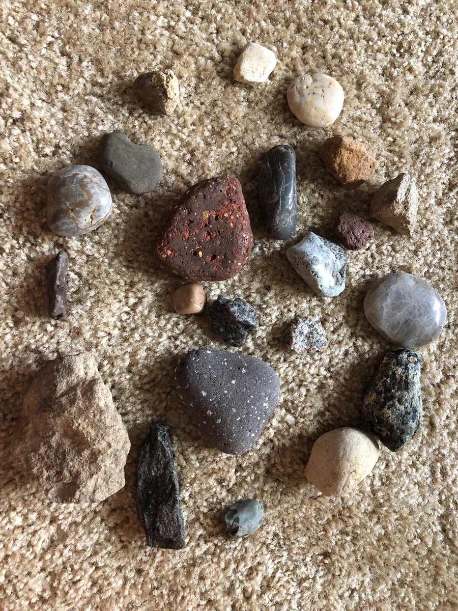 tnwlearning's tweet photo. 👀 #edu5370css - I’m prepping for our #ScienceStations tomorrow am! Get ready to work those #Inquiry muscles in your 🧠 and practice #QuestioningStrategies #ElementaryScience https://t.co/Hzl30G9nbE