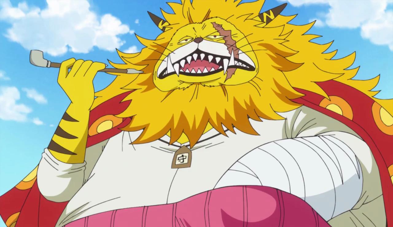 One Piece Com ワンピース 明日6 23 日 朝9時半 アニメ ワンピース マルコ 白ひげの形見の守護者 放送 白ひげ海賊団一番隊隊長マルコに会うべく白ひげの故郷の島を尋ねたネコマムシたち