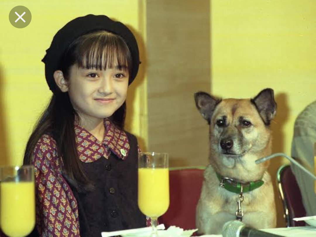 50 家なき子 犬種