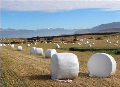 sagchile's tweet photo. @sagchile #Aysén informa a productores/as que desde el 28 de junio, se encontrará abierto el concurso N°3 SIRSD-S, programa especial para la zona afectada por incendio forestal #ColoniaSur #Cochrane
#ChileEnMarcha https://t.co/NezKTxx963