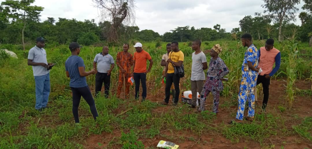 Ainatolulope1's tweet photo. More pictures from todays Field day training hosted by @tolulopefoods
&amp; @Cassavaweedmgt of @IITA_CGIAR
#cassavaweedmgt #tolulopefoods #WomenInAg #YouthInAg #Agtivated #Youth4AgCouncil #agribusiness

cc: @wandieville @dejirauf @seun_adedeji_ @AyoBankole @DebisiAraba @RotimiLawale https://t.co/MpwV1uzieV
