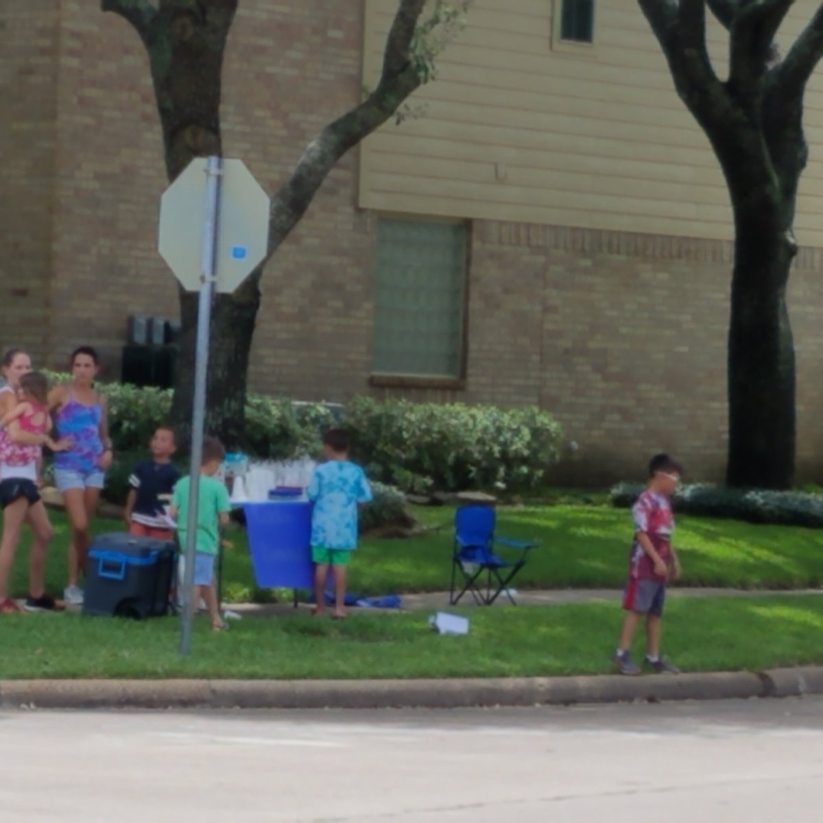 Everyone has rules that they live by. One of mine is stop at every lemonade stand. The lemonade at this one was delicious and the entrepreneurs were hilarious!