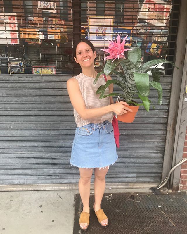 FlowersBSA's tweet photo. Happy Friday from a happy florist!
.
.
.
.
#happyfriday #happyflowers #bromeliad #weekendflowers #floristsofinstagram #nycflorist #flowerstagram #pottedplants #pottedflowers #smilesmilesmile #pinkbromeliad #fridaymood #fridayvibes #flowers🌸 #plantsof… https://t.co/PoAGtohoSv https://t.co/keScGI62zY
