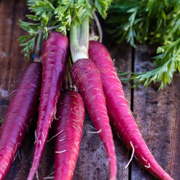 GG Allin tweet media