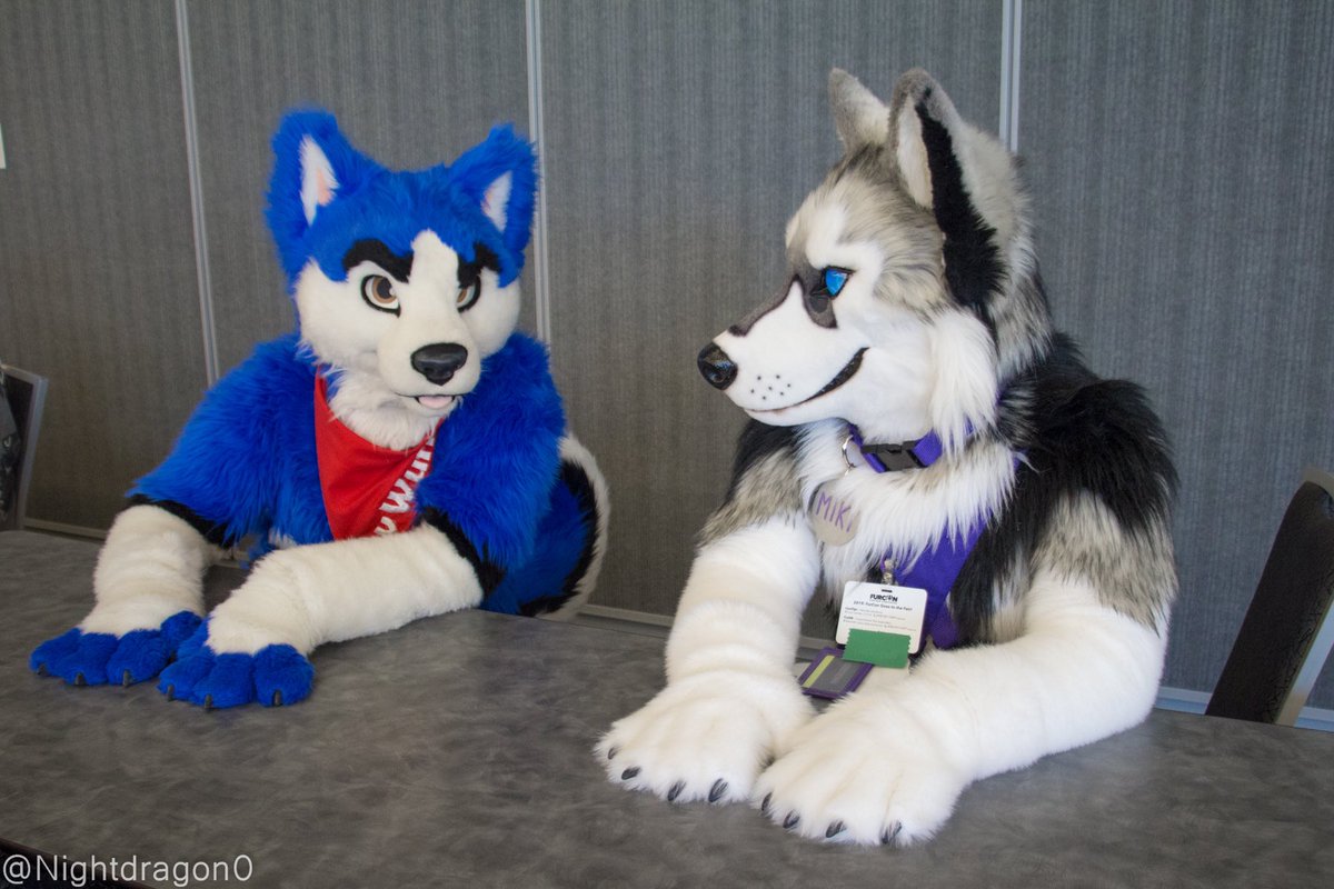 Pup_Leo's tweet photo. “So what’s your thoughts on snow?”
“Oh I likes the fresh fluffy stuff.”
“Oooohhhhhh me too!  But the compact snow makes zoomies even faster.”

-Some riveting Husky conversation with @avwuff at #FC2019 for #FursuitsFriday #fancybeastFriday 

Thank you 📷@nightdragon0 💜 https://t.co/oBviJhEg00