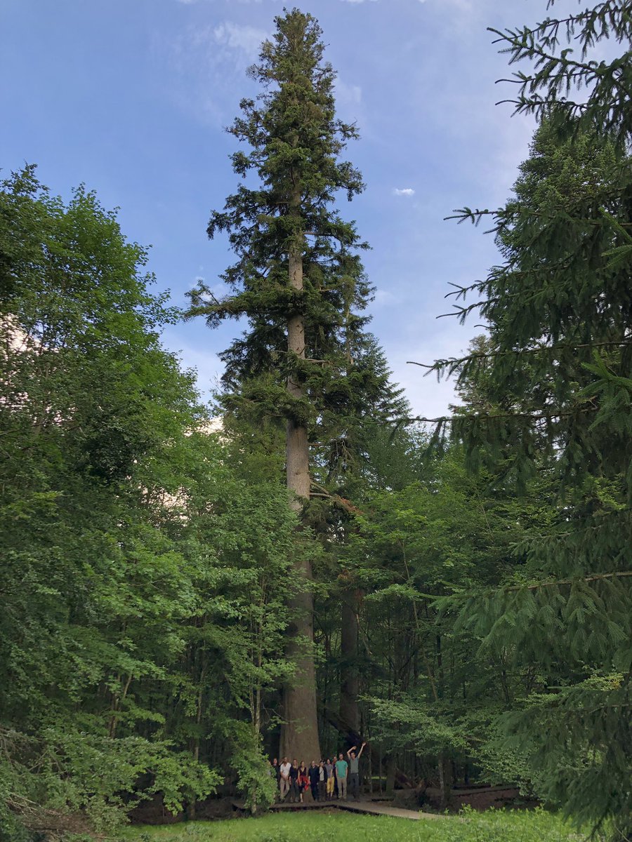 view котлеты и