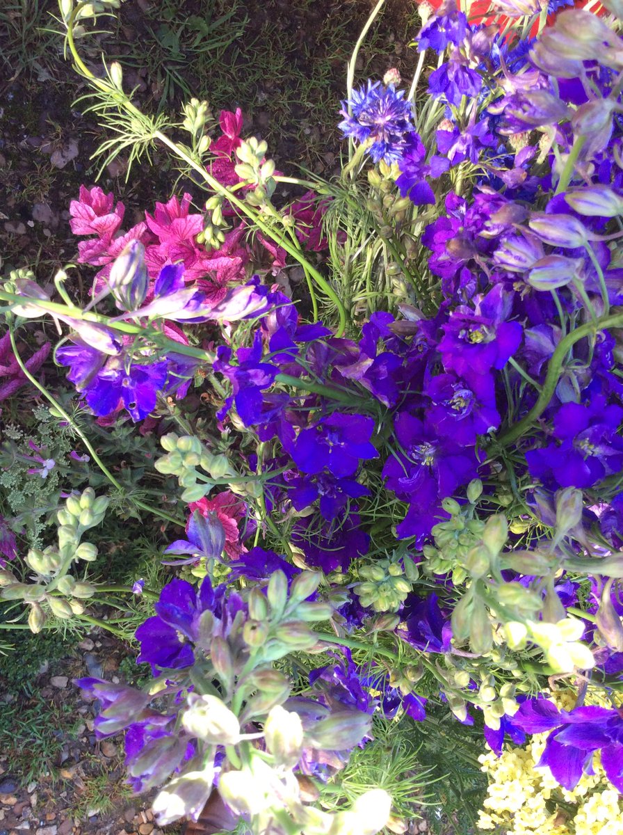 BrambleandYarn's tweet photo. Confetti mix of Pistachio, Cobalt Sky and Berry Crush along with a bucket of brights for a wedding today...
#confetti #naturalconfetti #petalconfetti #bucketsofblooms #weddingflowers #bramblecottagegarden #britishflowers #summerflowers #specialday #weddingday #homegrown #norfolk https://t.co/X8PpPwwiBW