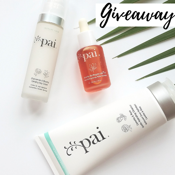 Art of Pure tweet media