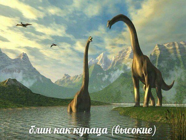 rus_4chan's tweet photo. https://t.co/xQGc9WMTpo