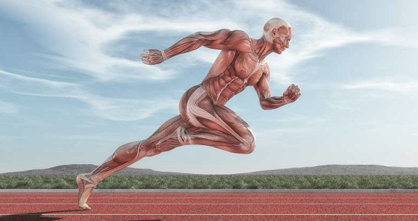 EverythingTF's tweet photo. Plyometric Training
by Boo Schexnayder
Plyometrics are commonly classified into four groups. They are:
https://t.co/G2mPWdibLL
#booschexnayder #trackandfield #plyometrics #mfathletic #ctf https://t.co/BWqmpBihl9