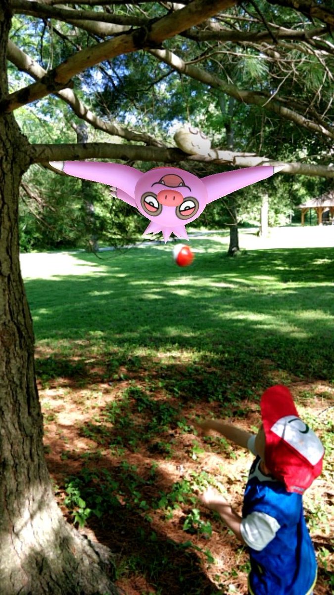 FloppyKing82's tweet photo. Ashe encounters a wild slakoth #PokemonGO #communityday #Slakoth #JuneCommunityDay @PokemonGoApp @NianticLabs #GoSnapshot #PokemonGOAR https://t.co/946rR7xdph
