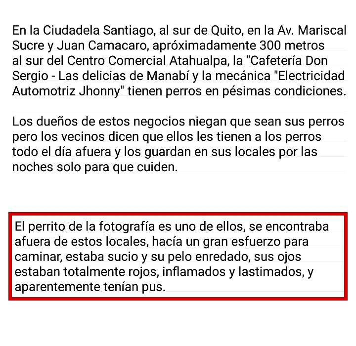 GuambraPilas's tweet photo. #URGENTE Señor Alcalde @LoroHomero  es necesario que toda la ciudadanía sepa que las cosas cambiaron y ahora en esta ciudad se respeta y se cuida a los animales y se sanciona el maltrato animal. Por favor cambiémosle la vida a este y muchos perritos. https://t.co/mCsF0OOH9h