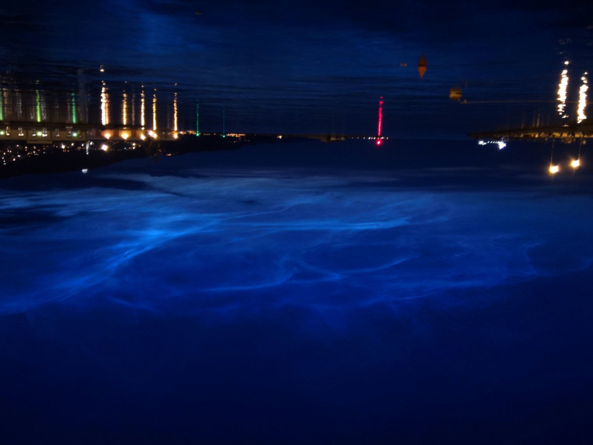 PeliSimoneKoffy's tweet photo. I grattacieli di Trieste. #Trieste #MoloAudace #LeRive #picoftheday    #VintoiProvinciali #FranzaLarva #trieste #landscape #igersitalia #igerstrieste #volgotrieste #view #reflecting #lights #fridaynight #nationalgeographic https://t.co/apGKAWjwfS