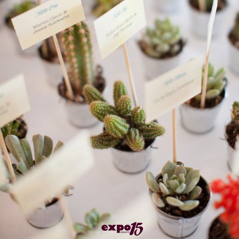 _Expo15's tweet photo. ¿Has pensado en obsequiarle a tus invitados plantas?🌵🌿
¡Una buena opción! 😉✨ https://t.co/FDMnG33iKi