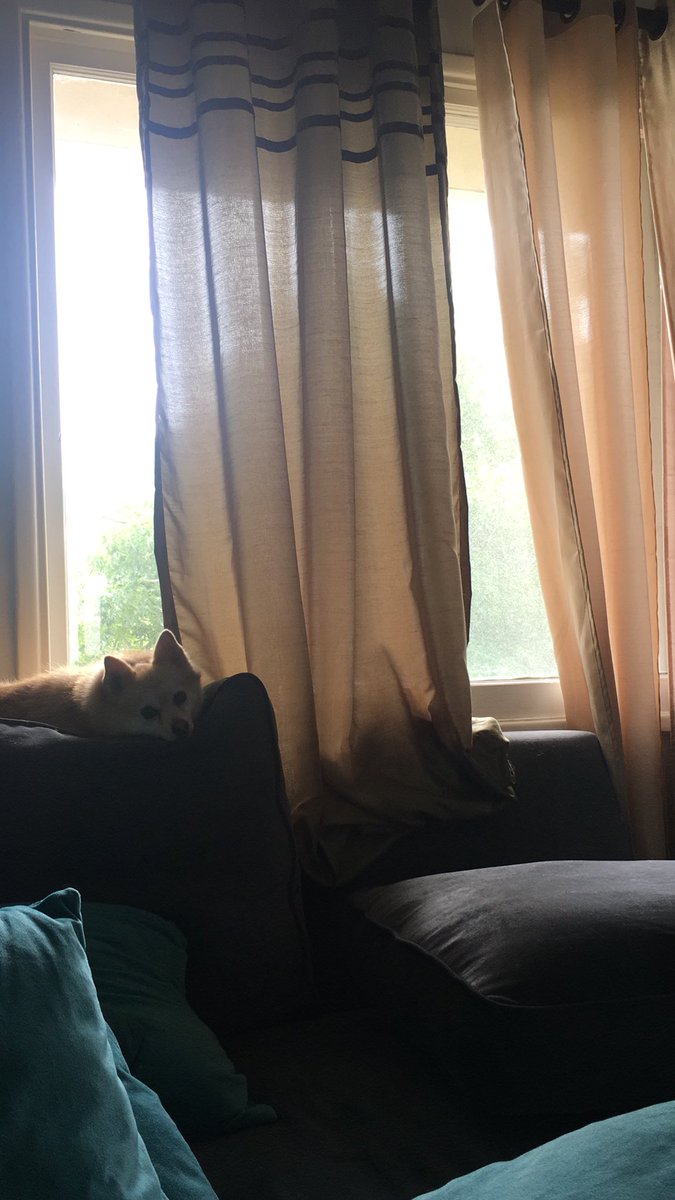 Michaella Russell Michaellaruss Twitter