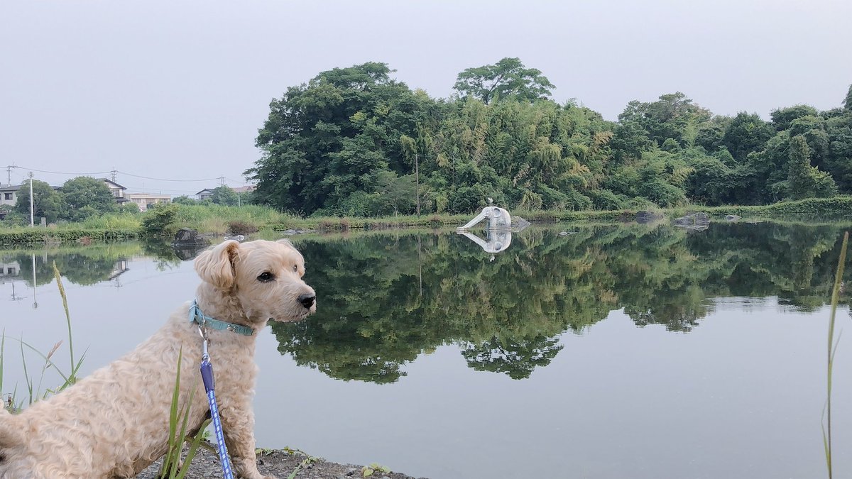 ゾウさんプール