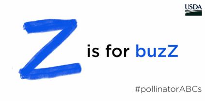 USDA_NRCS's tweet photo. Zank you for joining us! Please share the buzz about #pollinators with your friends, family and followers. https://t.co/imG4sWLyuq #pollinatorABCs https://t.co/b8sVZdFYvP