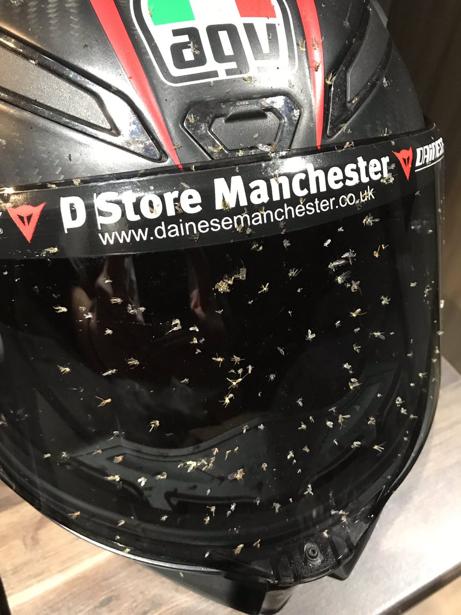 beckers1000's tweet photo. Lots of midges out this evening! π΄σ §σ ’σ ·σ ¬σ ³σ Ώ @DstoreManc @AGVHelmets #wearedstoremanc #agvpistagpr #beckersbraaps #longestday #agv https://t.co/ZC80ebZaJj