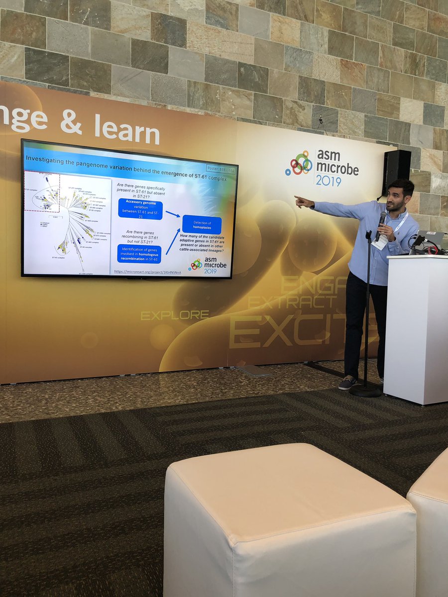 Very I interesting rapid fire talk by <a href="/CampyVet/">Evangelos Mourkas</a> using #genomic approaches to understand #campylobacter evolution in #cattle 🧫 🐄 #ASMMicrobe2019