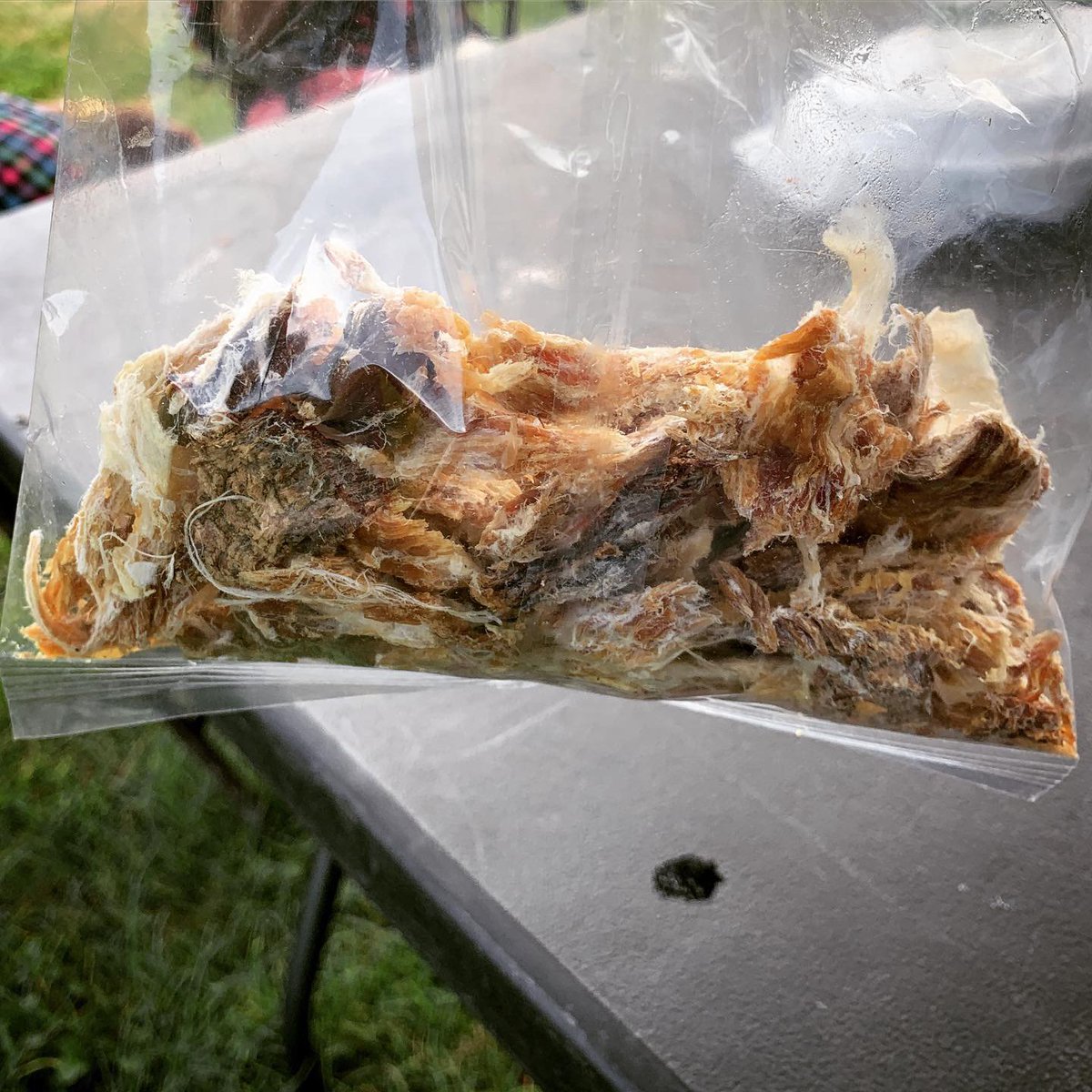 In case you're wondering, here's the dried mountain lion meat we tasted in Nacimiento. Mountain lions are magnificent and I certainly do not, under any circumstances, advocate killing them. Also, they taste bad. But the Sierra Madres are beautiful. 11/12