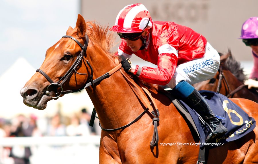 Now 2/2, DAAHYEH @DavidEgan99 wins 6f 2yo fillies G3 Albany Stakes at Royal Ascot today for @JuddmonteFarms Bated Breath @varianstable