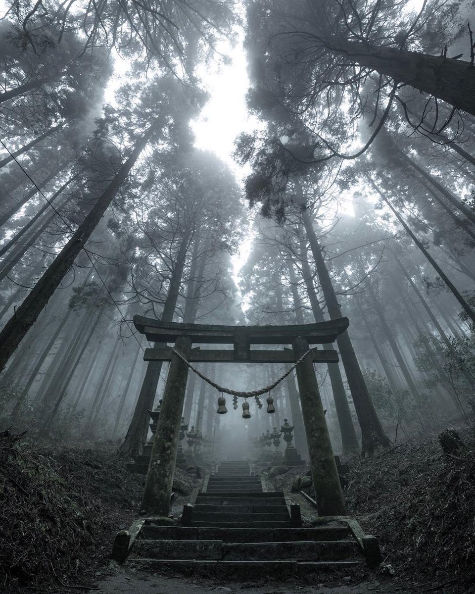 AestheticsJapan's tweet photo. Kamishikimi Shrine 
by https://t.co/xdTlCehYfD https://t.co/q5Fo3epOpv