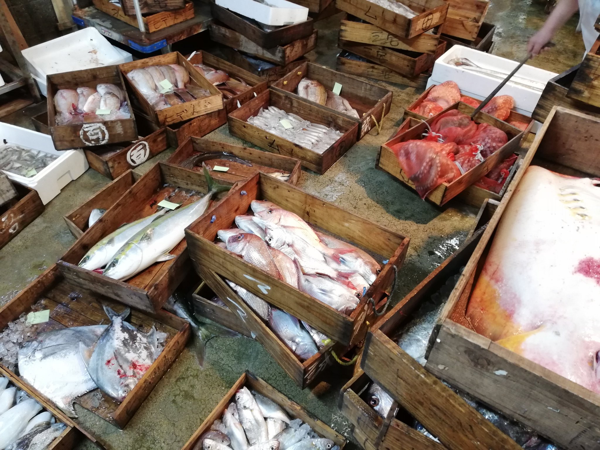 てらだいおり やばいお魚グルメ探究家 A Twitter おはようございます 本日の笠岡魚市場です 魚が多かったですね 今日の道の駅 ベイファームの魚はお得かもしれません 詰め放題も沢山とれるかも ぜひ 遊びに来てください てらだいおり やばいお魚グルメ探究家 A Twitter おはようございます 本日の笠岡魚市場です 魚が多かったですね 今日の道の駅 ベイファームの魚はお得かもしれません 詰め放題も沢山とれるかも ぜひ 遊びに来てください