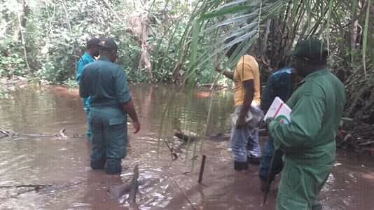 CamerounPapel's tweet image. Exploitation forestière au-delà des limites de la forêt communale d'Abong Mbang. Mission conjointe de vérification #PAPEL #MINFOF #SNOIE

oiecameroun.org/images/documen…