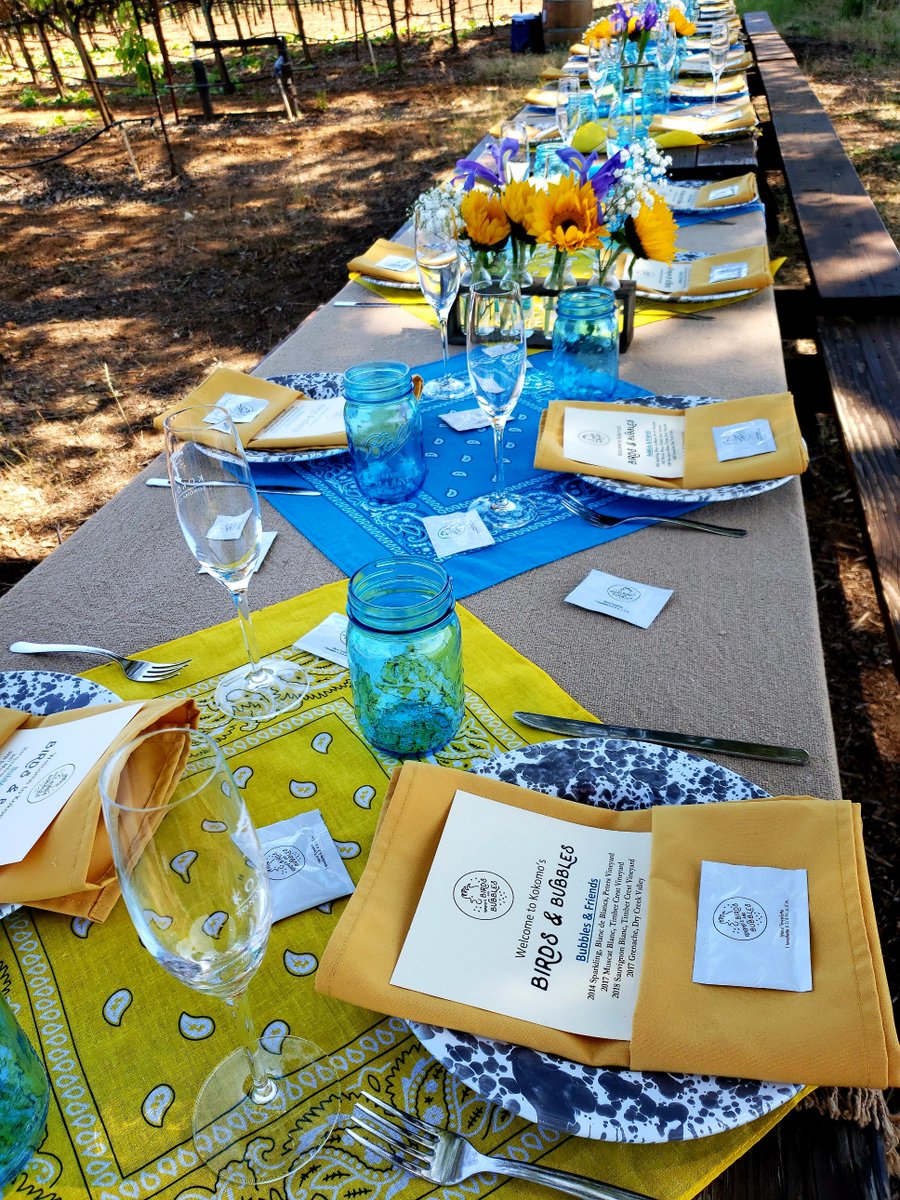 KokomoWinery's tweet photo. We had such a blast with y'all at our #BirdsandBubbles Lunch in the Vineyard Event today at #KokomoWinery ! It's so fun to connect with y'all, and we can't wait to do this thing again in August! 🥂🍗
#DryCreekValleyWines #SparklingWine #VineyardDining #friedchicken @BackyardSoCo https://t.co/lcki6cpIRK