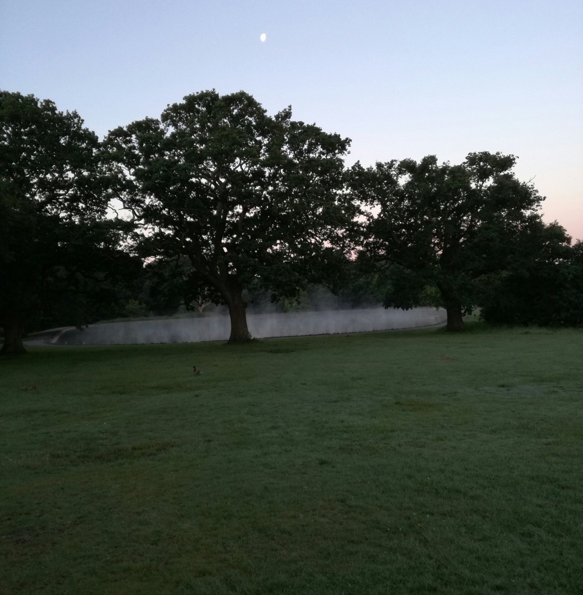 Good morning #prettymuddy #race4life#southamptoncommon