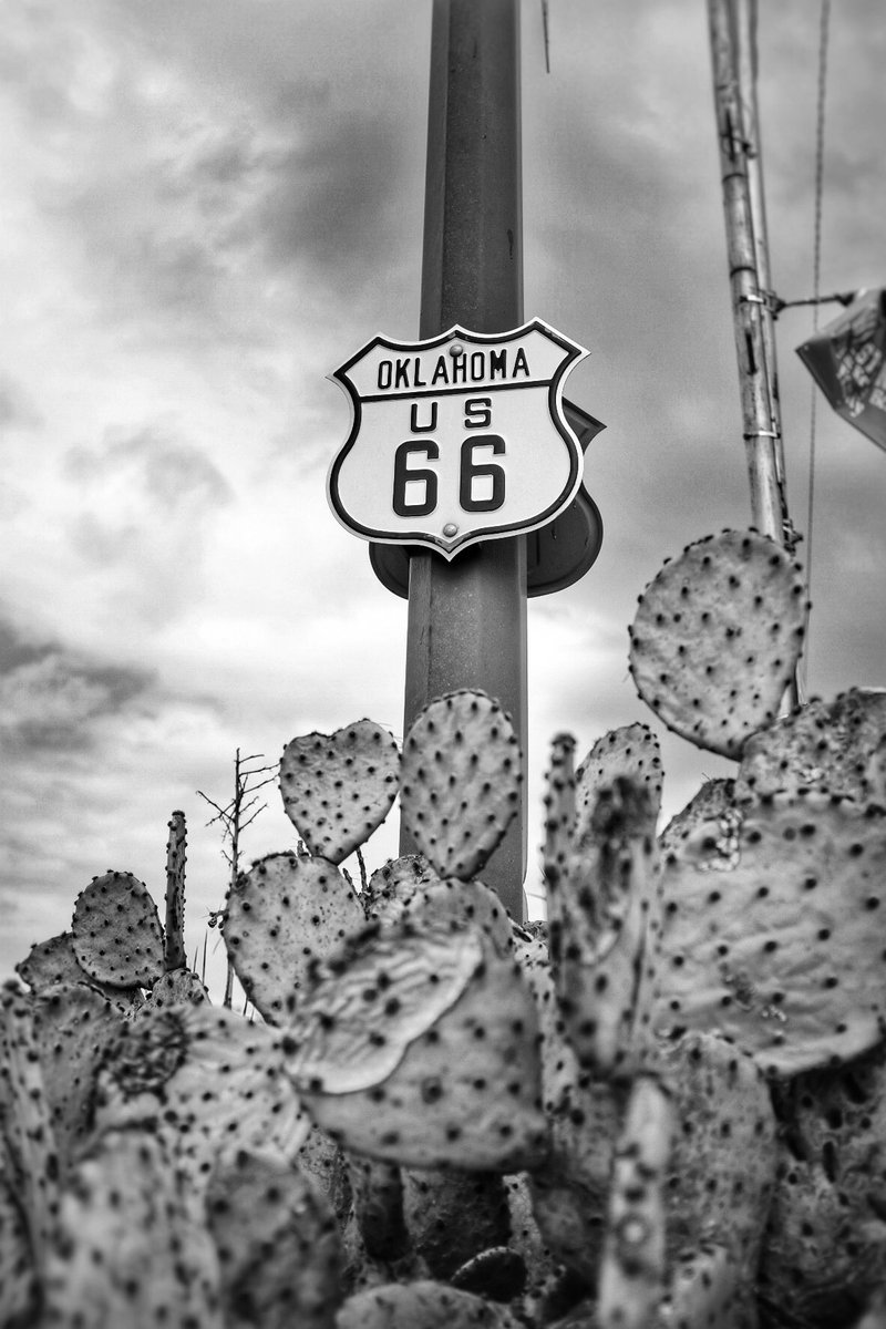TKon66's tweet photo. Cruising Oklahoma 66
#Cactus🌵 #Route66 
#Route66Oklahoma #ChandlerOK #US66 #MotherRoad #RoadTripsAndWanderTime #Adventure7580 https://t.co/IZv641ddke